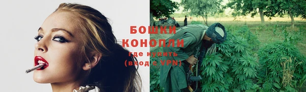 прущие крисы Лабытнанги