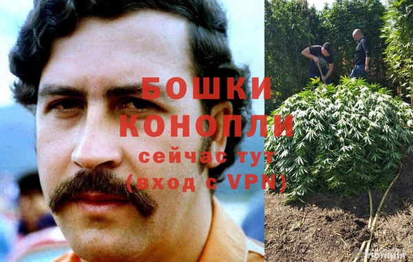 прущие крисы Лабытнанги