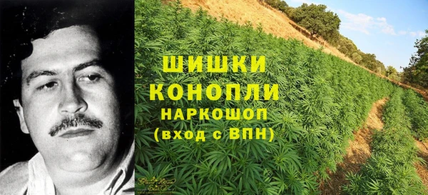 дживик Лихославль